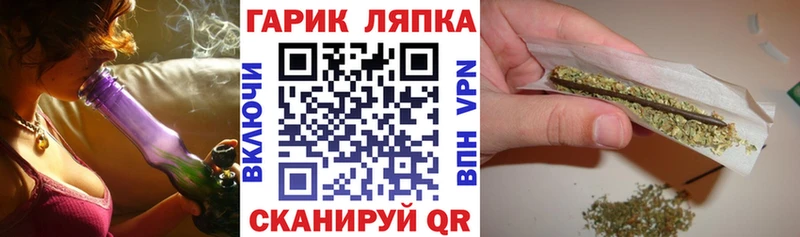 Купить где  Почеп  Гашиш индика сатива 