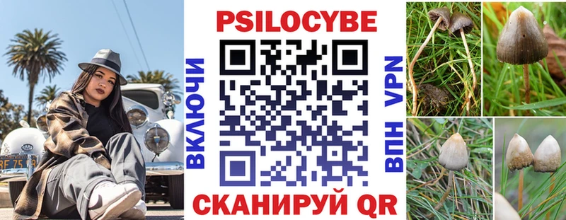 Галлюциногенные грибы прущие грибы  Купить  Почеп 